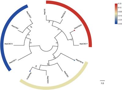 Molecule characterization of chemosensory and metabolism-related genes in the proboscis of Athetis lepigone